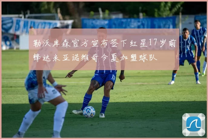 勒沃库森官方宣布签下红星17岁前锋达米亚诺维奇今夏加盟球队